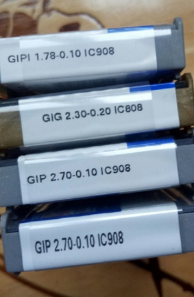 GIP (10)