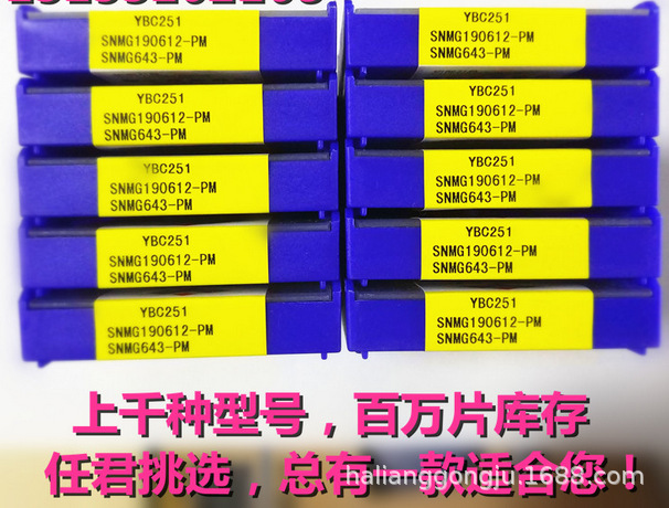 SNMG (8).png